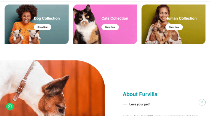 furvillapetstore.com 2 www furvillapetstore com 3