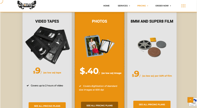 www lotusmedia com 3 1